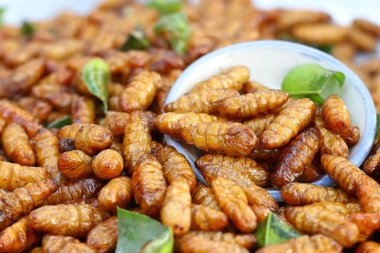 Fried böcek sokak gıda