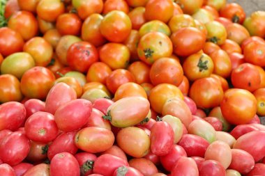 Pazardaki domatesler
