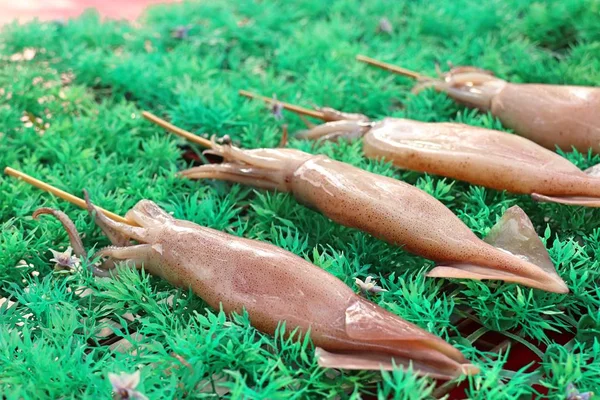 길거리 음식에서 구운된 오징어 — 스톡 사진