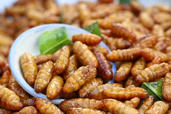 Fried Böcek Sokak Gıda — Stok fotoğraf