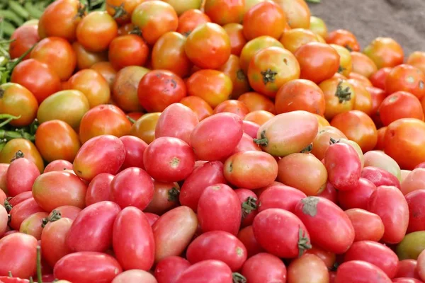 Pomidory Rynku — Zdjęcie stockowe