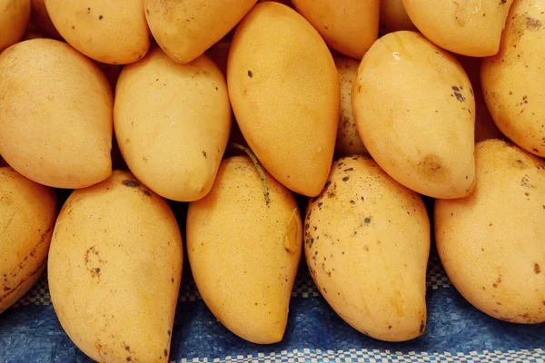 Ripe Mango Street Food — Stock Photo, Image