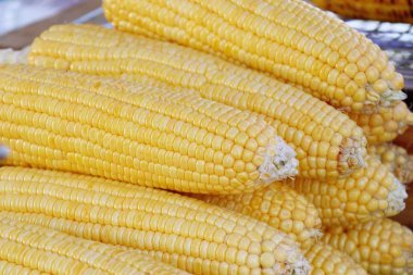 Sokak gıda, haşlanmış mısır