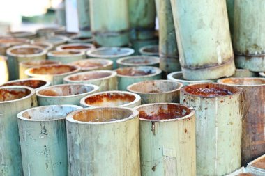 BAMBOO 'NUN İÇİN EŞİLDİ