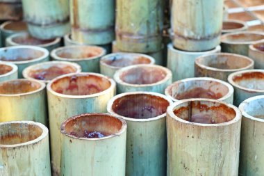 BAMBOO 'NUN İÇİN EŞİLDİ