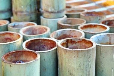 BAMBOO 'NUN İÇİN EŞİLDİ