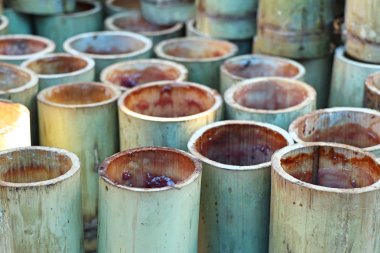 BAMBOO 'NUN İÇİN EŞİLDİ