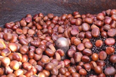 kestane tohum sokak gıda