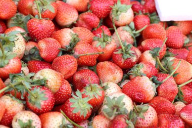 Taze çilek sokak gıda