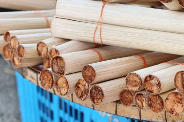 BAMBOO 'NUN İÇİN EŞİLDİ