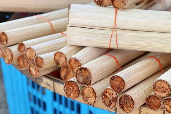 BAMBOO 'NUN İÇİN EŞİLDİ