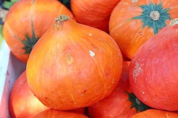 Calabaza Comida Callejera — Foto de Stock