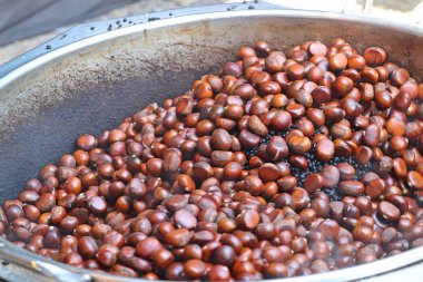 kestane tohum Street