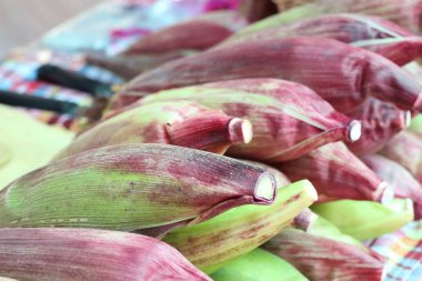 Markette taze Mısır