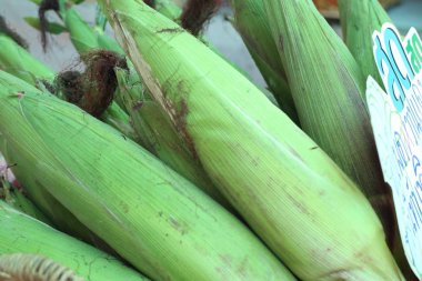 Markette taze Mısır