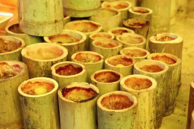 BAMBOO 'NUN İÇİN EŞİLDİ