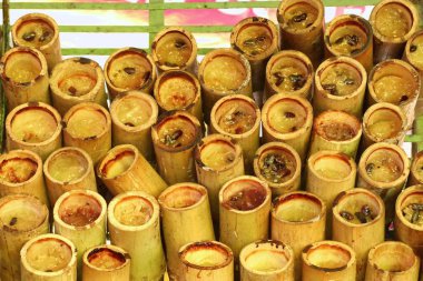 BAMBOO 'NUN İÇİN EŞİLDİ
