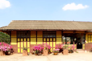 Tren İstasyonu eski vintage