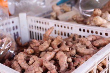 Zerdeçal kök Market