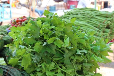 Kereviz sebze Market