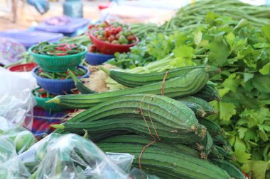 pazarda taze lif kabağı