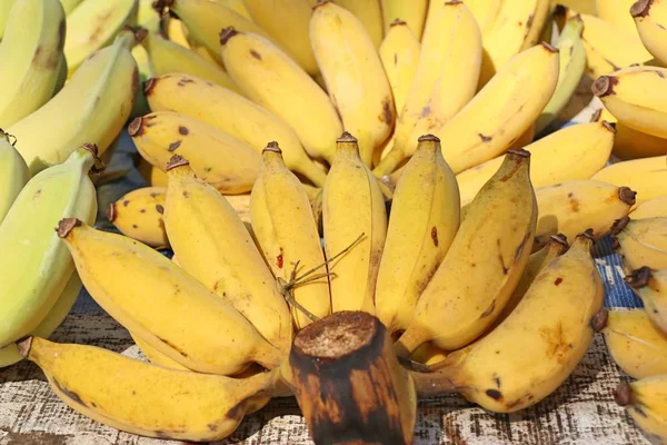 Banana Mercado — Fotografia de Stock