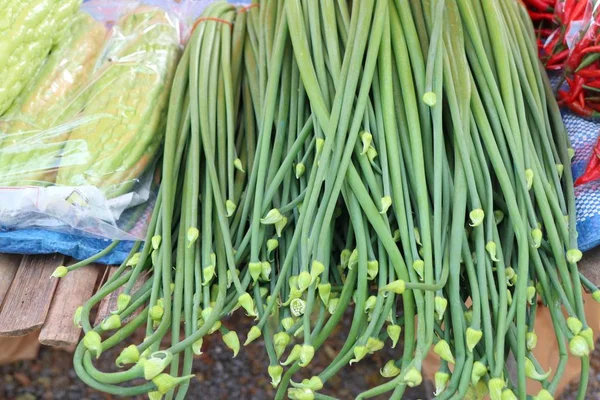 Fleur Oignon Printemps Marché — Photo