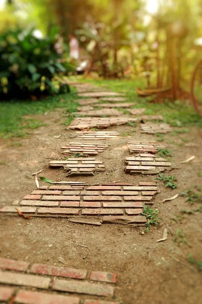 Caminho Pedra Parque — Fotografia de Stock