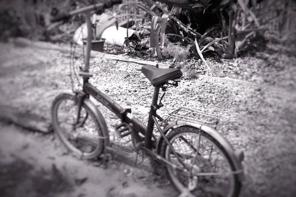 Velha Bicicleta Ferrugem Vintage — Fotografia de Stock