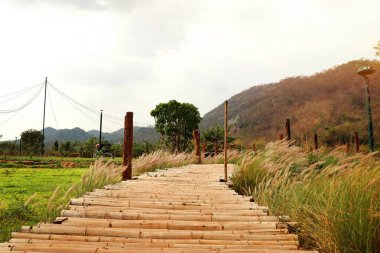 Doğada bambu Köprüsü