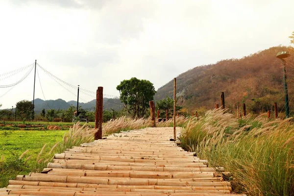 Bamboo Bridge Nature — Stock Photo, Image