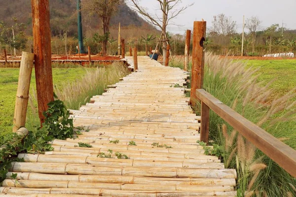 Bamboo Bridge Nature — Stock Photo, Image