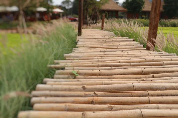 Puente Bambú Naturaleza —  Fotos de Stock