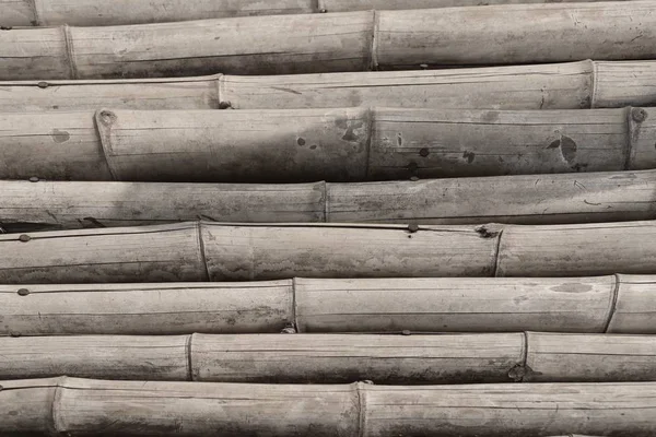 Bamboo Background Nature — Stock Photo, Image