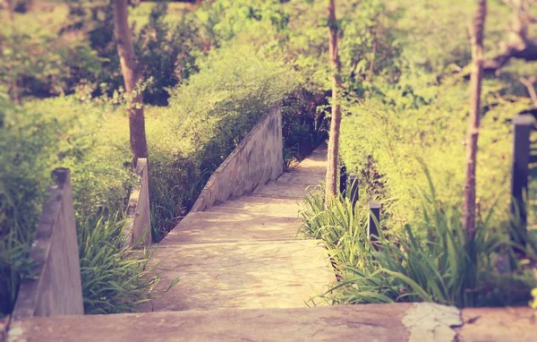 Stairs down the corridor — Stock Photo, Image