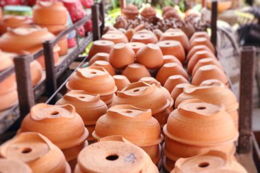 Saksı bitki çiçekçi