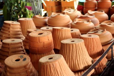 Saksı bitki çiçekçi