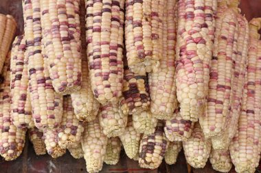 Markette taze Mısır 