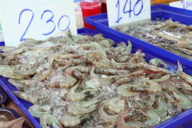 sokak gıda, taze karides