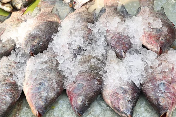 बाजारात ताजे मासे — स्टॉक फोटो, इमेज