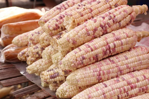 Frischer Mais auf dem Markt — Stockfoto