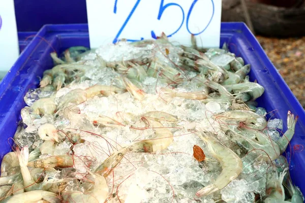 屋台の食べ物で新鮮なエビ — ストック写真