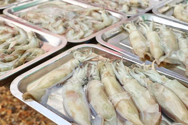 Frischer Tintenfisch auf dem Markt — Stockfoto