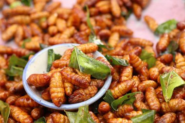 Fried böcek sokak gıda