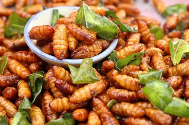 Fried böcek sokak gıda