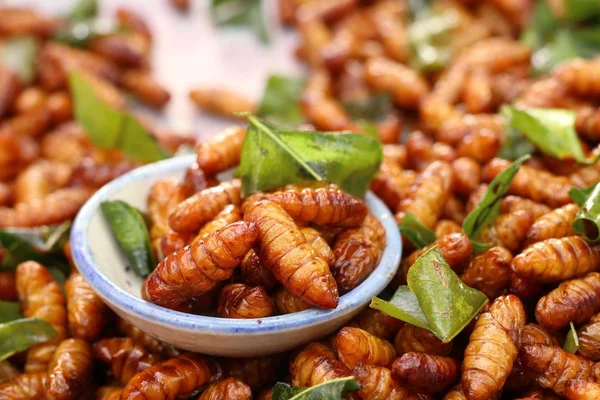 Жареные насекомые за уличной едой — стоковое фото