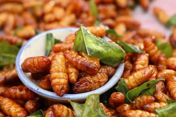 Insecto frito en la comida callejera — Foto de Stock