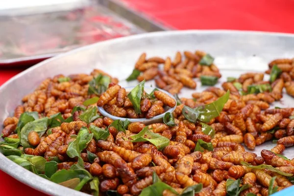 Insecto frito en la comida callejera — Foto de Stock