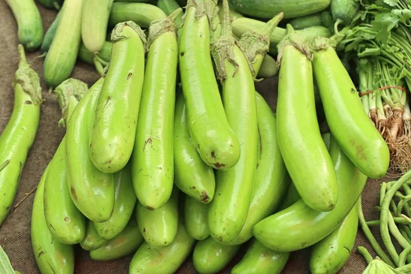 Fresh eggplant the market — Stock Photo, Image