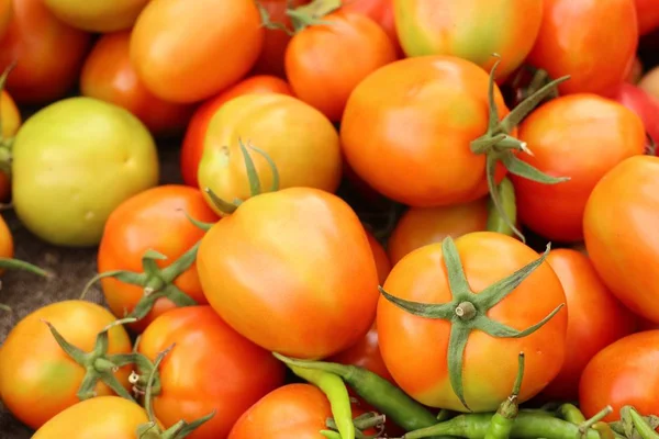 Tomaten auf dem Markt — Stockfoto